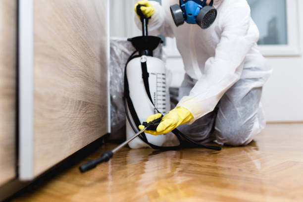 Best Wasp Removal Services  in Greencastle, IN