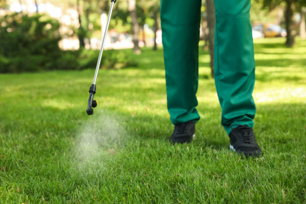 Best Pest Removal Services  in Greencastle, IN