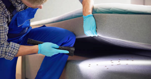 Trusted Greencastle, IN Pest Control Experts