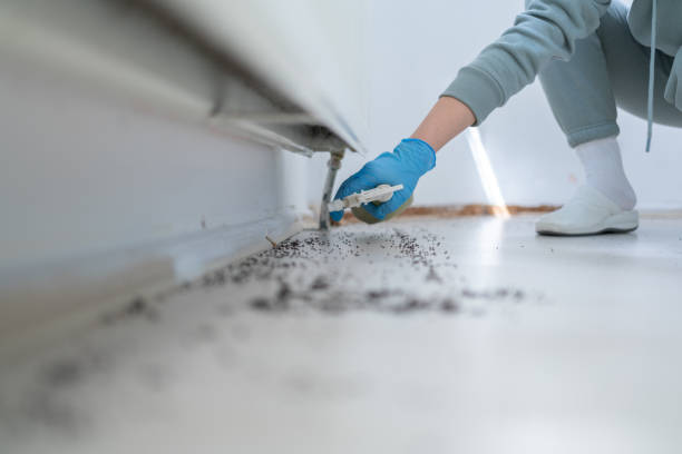 Best Pest Control for Businesses  in Greencastle, IN
