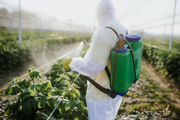 Best Pest Removal Services  in Greencastle, IN